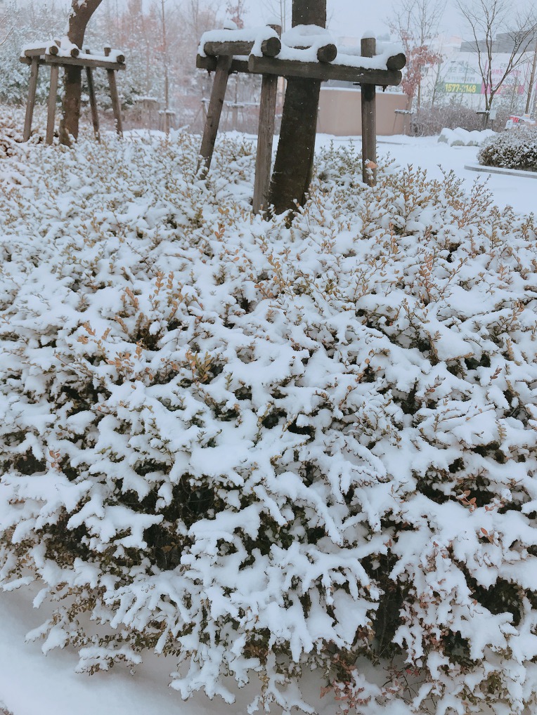 아름다운 겨울 풍경~!!