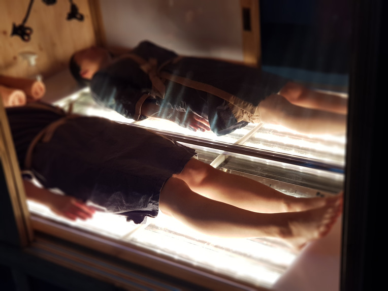 디니힐링시스템 이미지