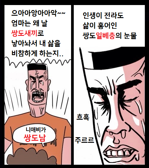 ìŒë„ëˆˆë¬¼ì— ëŒ€í•œ ì´ë¯¸ì§€ ê²€ìƒ‰ê²°ê³¼