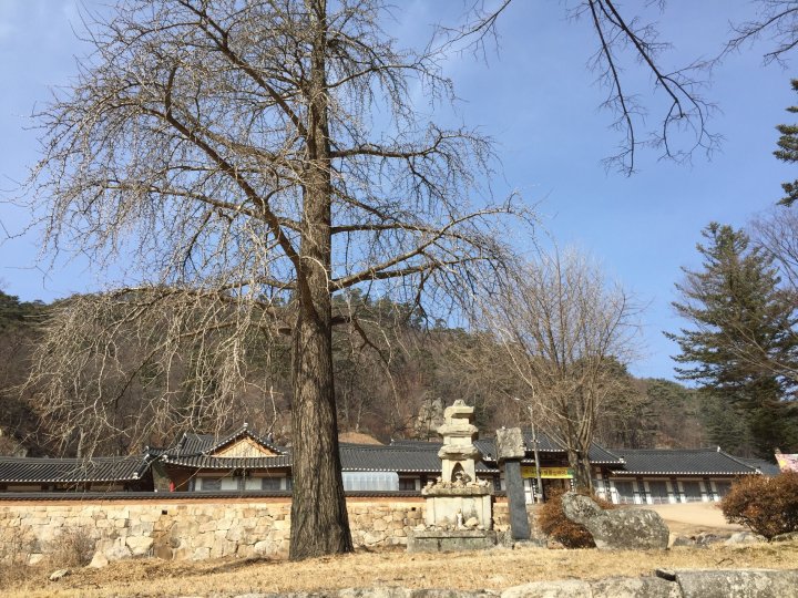 대승사.김용사. 윤필암. 
