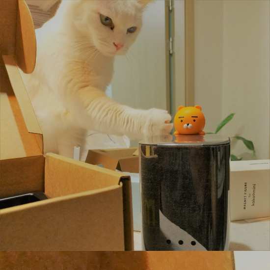 블로그 이미지
