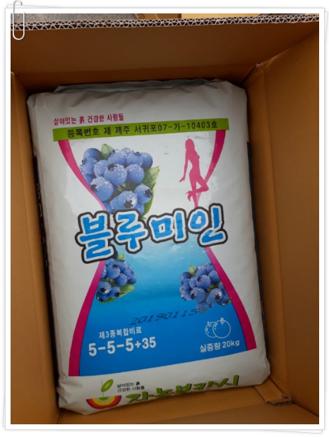 (여주게스트하우스 산새랑) 블루베리 시비