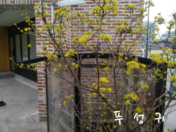 사부작 사부작