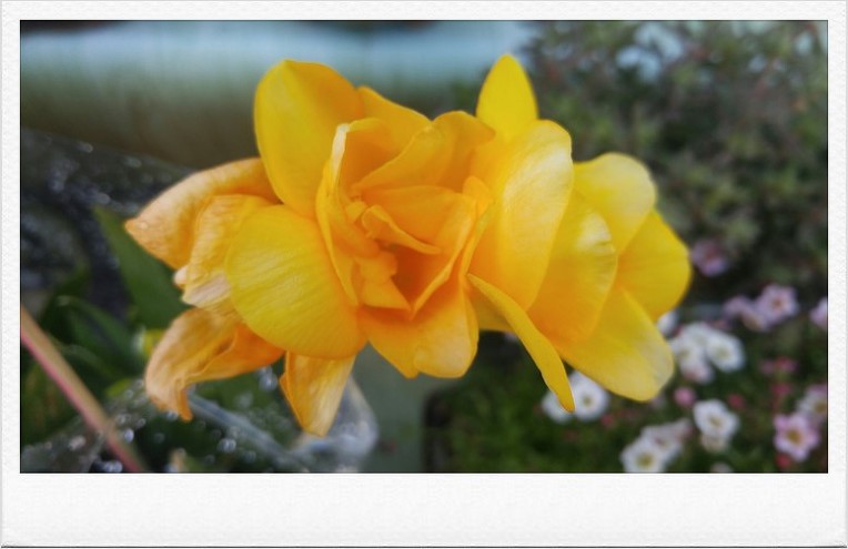 내가 존재하는 이유를 찾겠다고 결심하여 오늘에 집중하시면 어떨까요