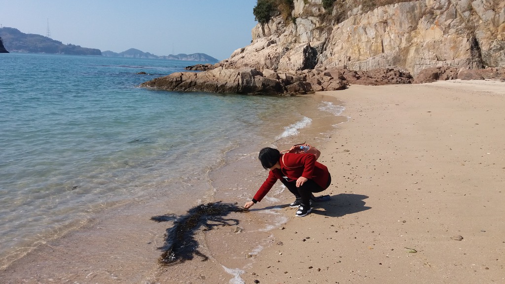 비진도(경남 통영) 산호길 트레킹 _ 2019년 2월 24일