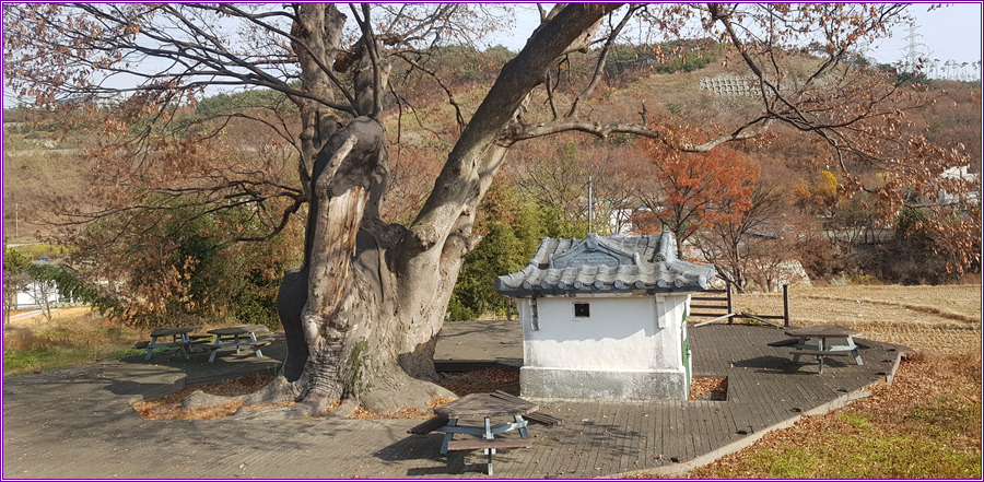 가버린 가을,장안사의 풍경