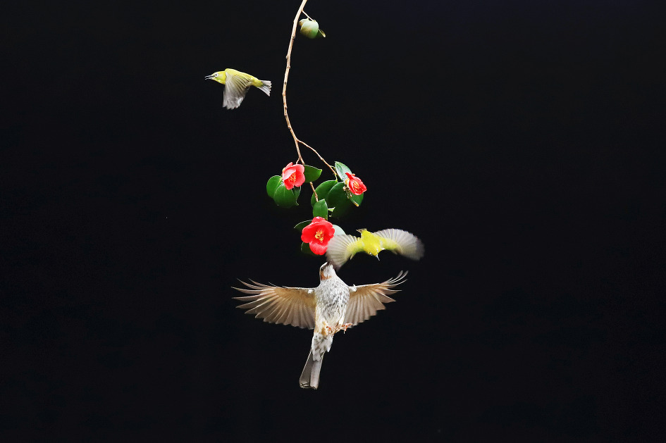 기선제압 (2019.03.06.수)