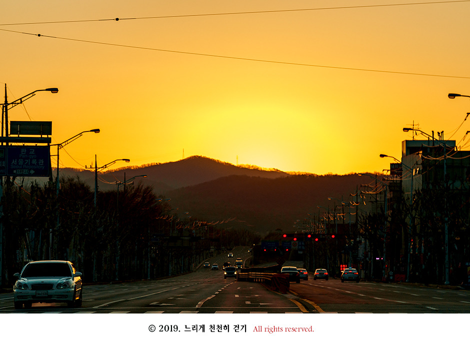 동강 생태체험관 앞 너른 바위에 피어있는 동강할미꽃