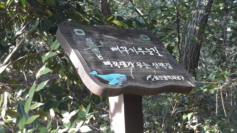 뻐꾸기 우는길