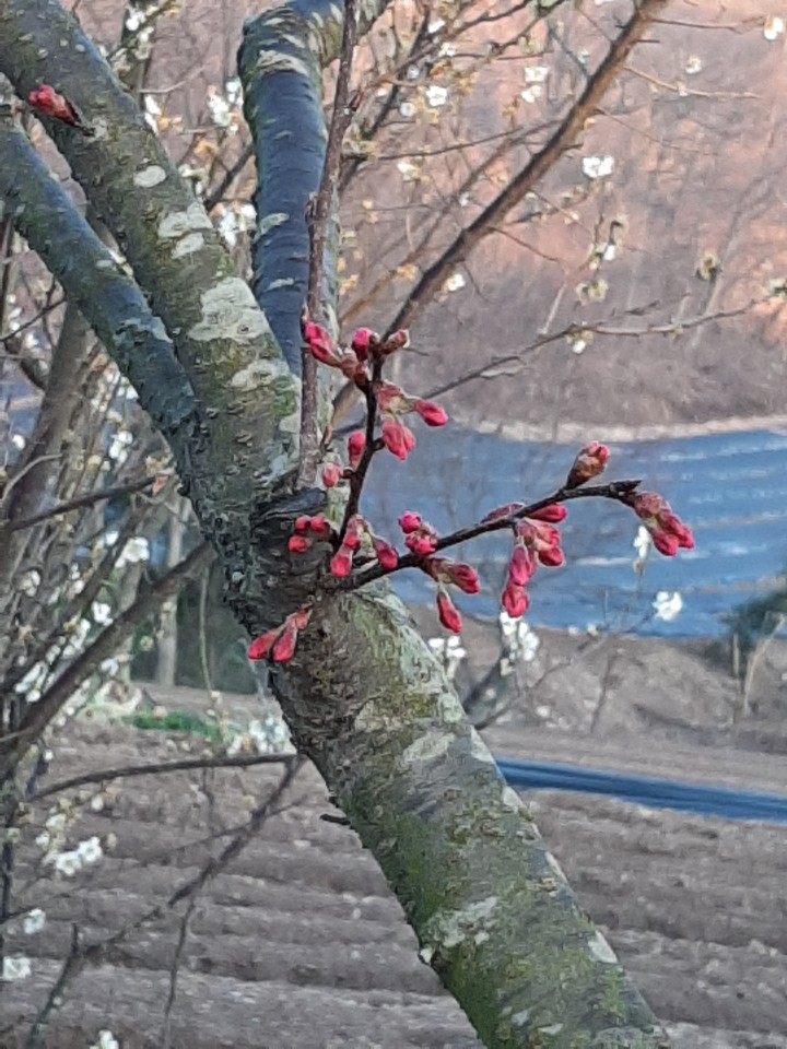 더블클릭을 하시면 이미지를 수정할 수 있습니다