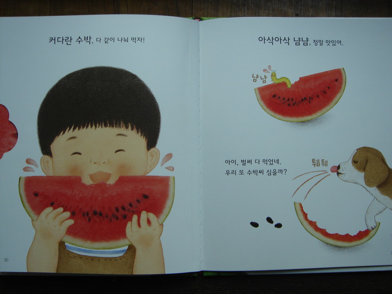 그레이트북스놀라운자연, 자연학습장이네요.놀라운자연 입니다.
