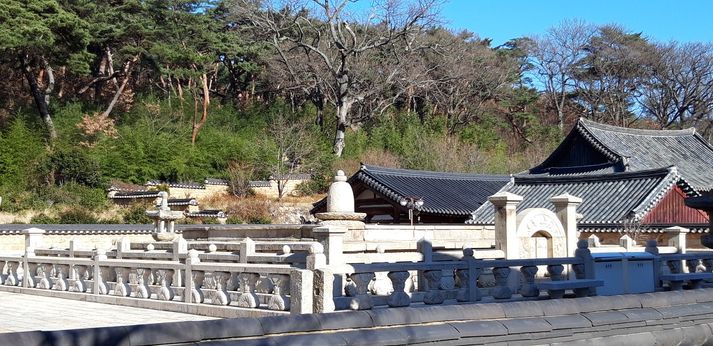 솔향 그윽한 통도사