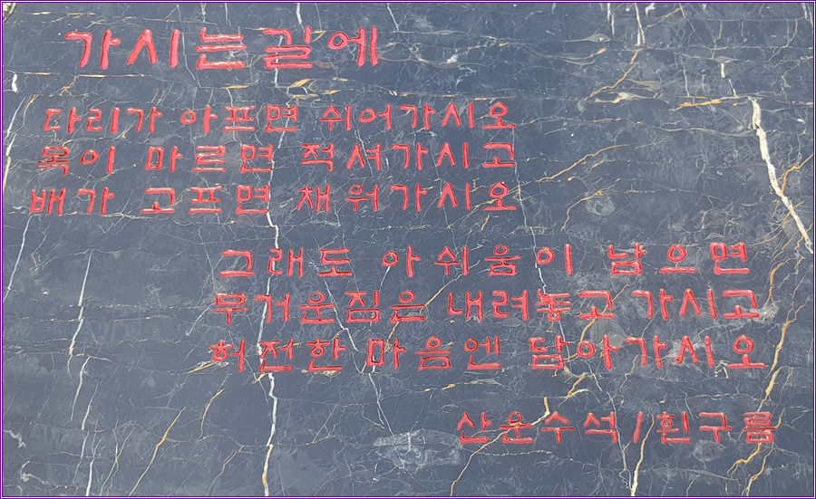 돌배 