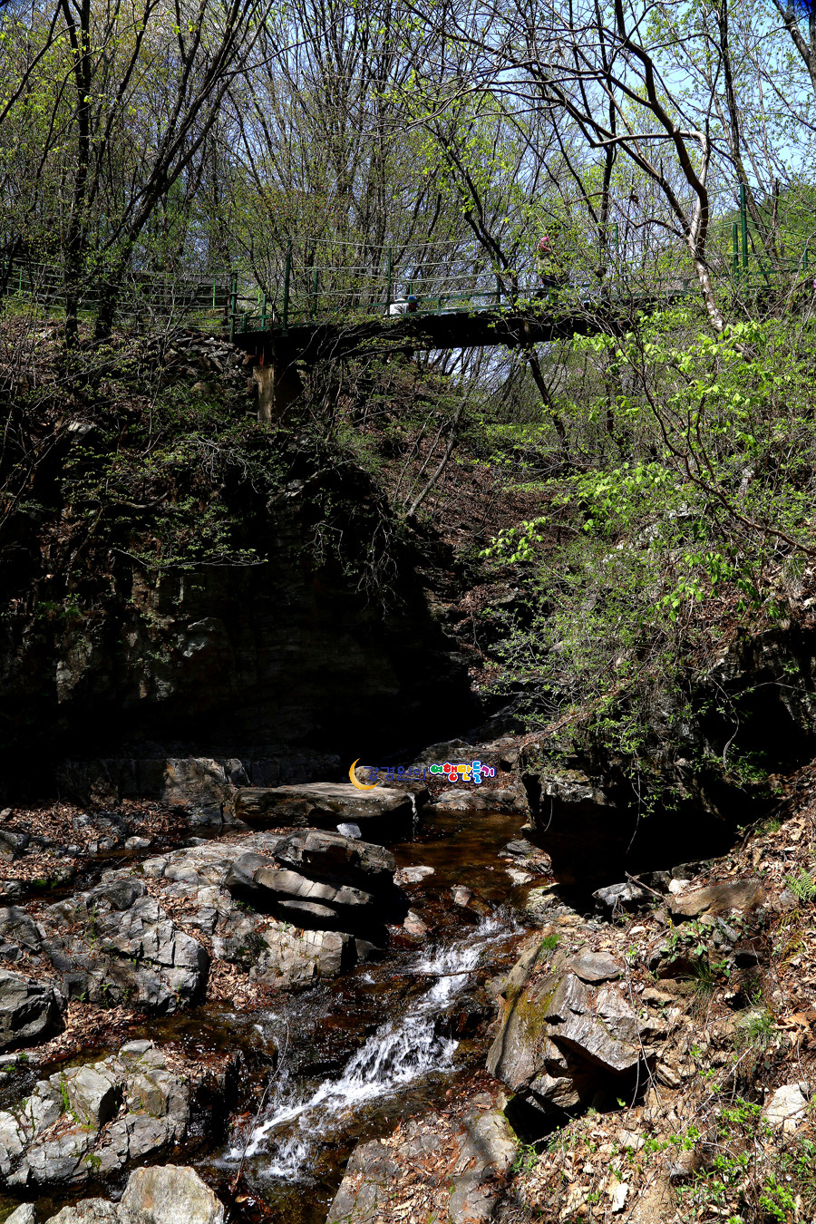 홍천 가볼만한곳 공작산 수타사계곡 가리산레포츠파크 홍천생명건강과학관 강원도 여름휴가 여행