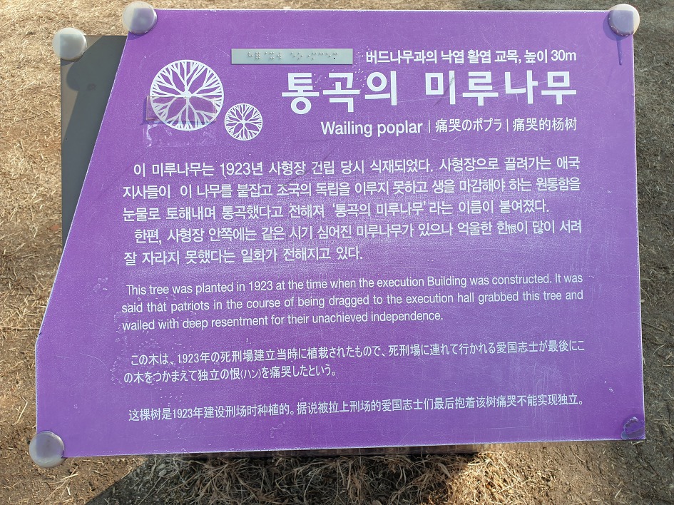 삼일절 3·1 만세운동 100주년과 임시정부수립 100주년을 맞아 꼭 가봐야 할 곳 서대문형무소역사관