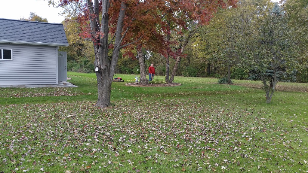 군에 있는 아들에게 보낸 위문품