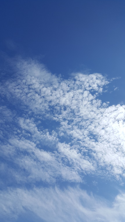 어제 10월15일 일산에서 바라본 파아란 가을하늘 사진들