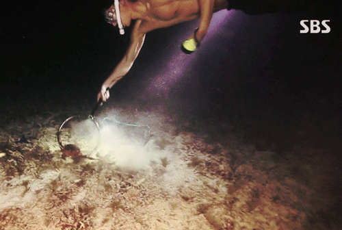 99C3364E5C5557A42FE0F7