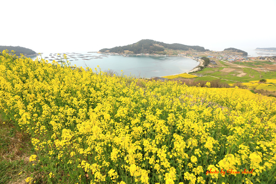 느림의 쉼표..청산도..2019.04.07 