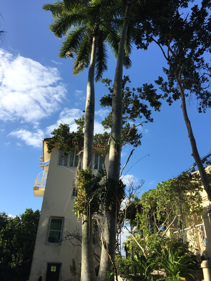 [쿠바 여행 #2] 헤밍웨이의 흔적을 찾아 아바나에서 조금 떨어진 고히마르 마을 헤밍웨이 박물관을  가다.