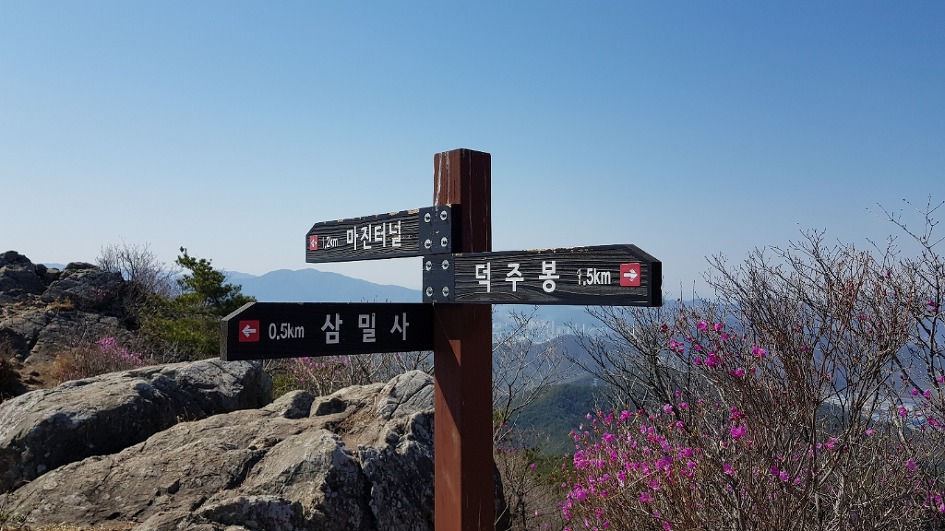불모산과 장복산 꽃길만 걸었다