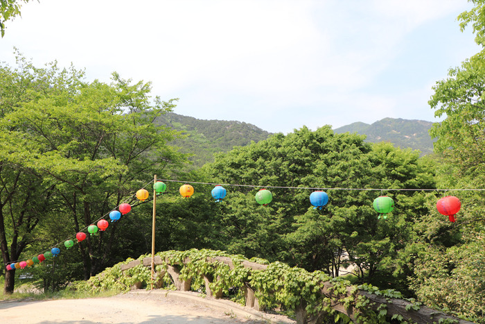 원본이미지(클릭)