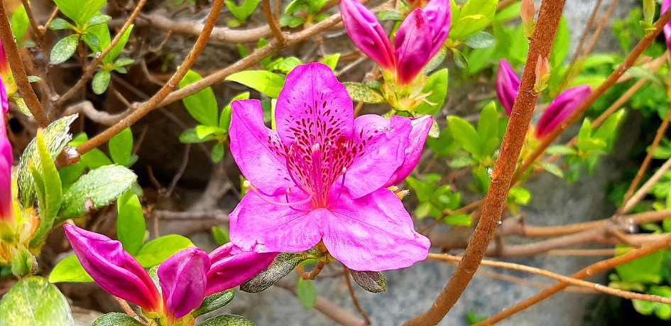 오랜만에 딸네 집으로 마실을 갔습니다.