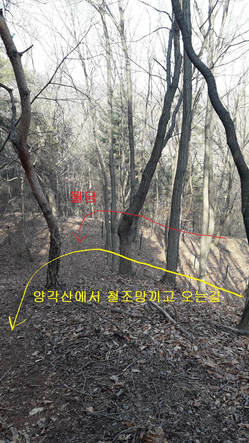 이천 양각산에서 해룡산 산길이 어려웠다(2019년2월24일)