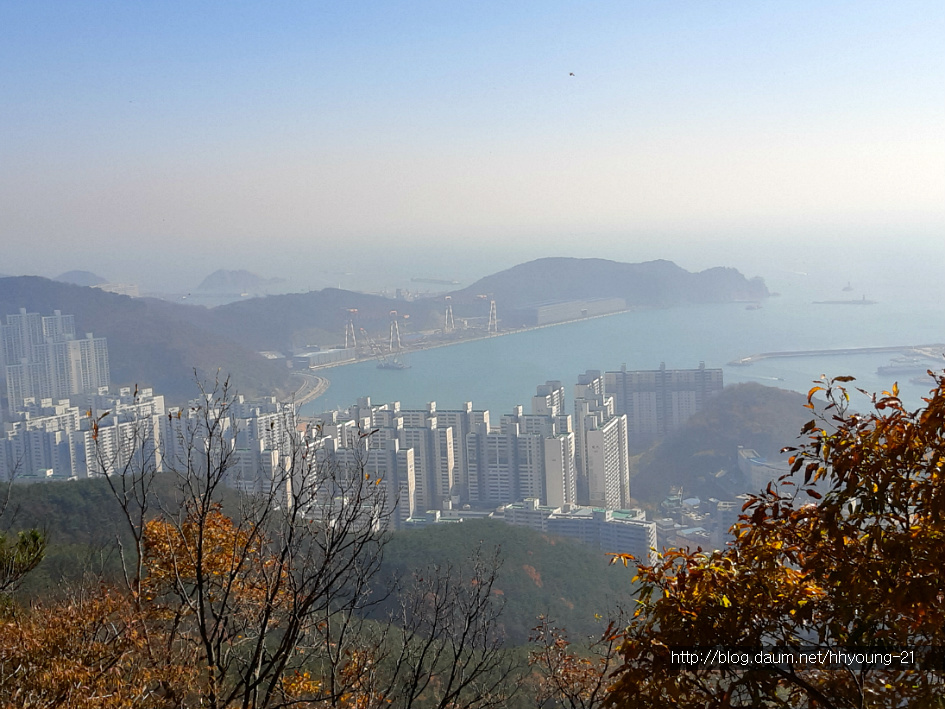 부산 사하구 다대동 아미산(234.1m) 둘레길에서....
