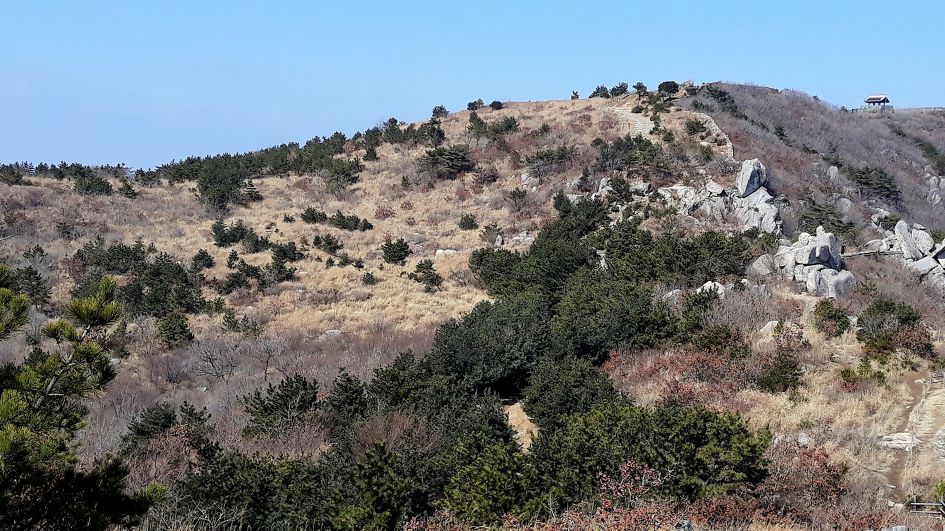 금정산