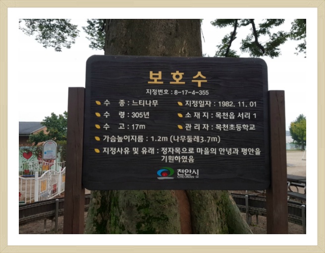 만나식당 이미지