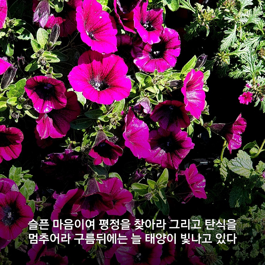 침묵은 