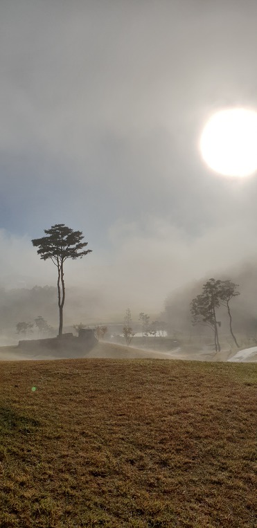 50, 지천명에 들어서서...