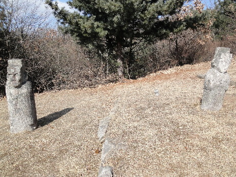 금성석물 이미지